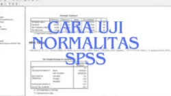 Cara-Uji-Normalitas-SPSS